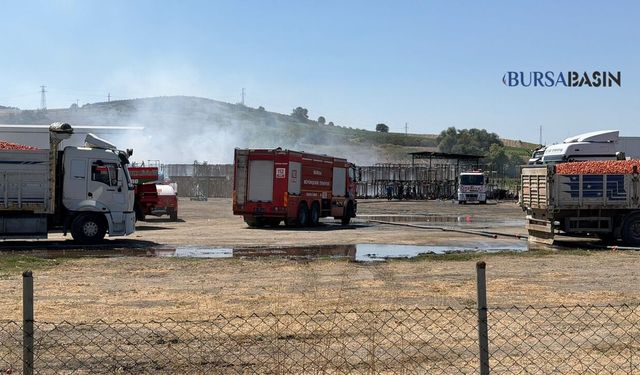 Mustafakemalpaşa’da Fabrika Bahçesinde Yangın Paniği