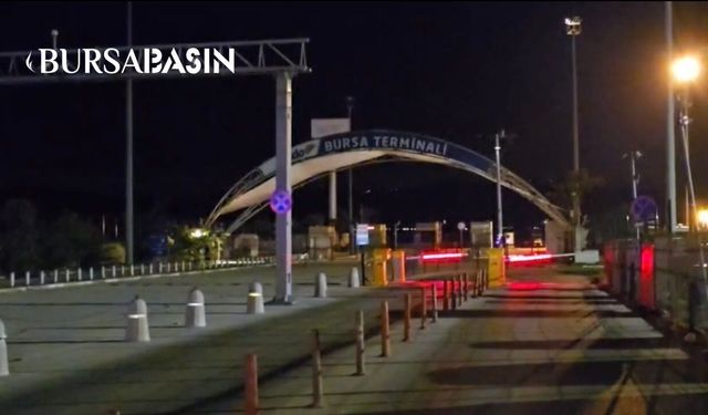 İDO deniz otobüsü Mudanya İskelesi’ne çarptı