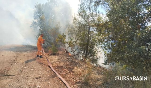 Keles’te Ormanlık Alanda Yangın Alarmı