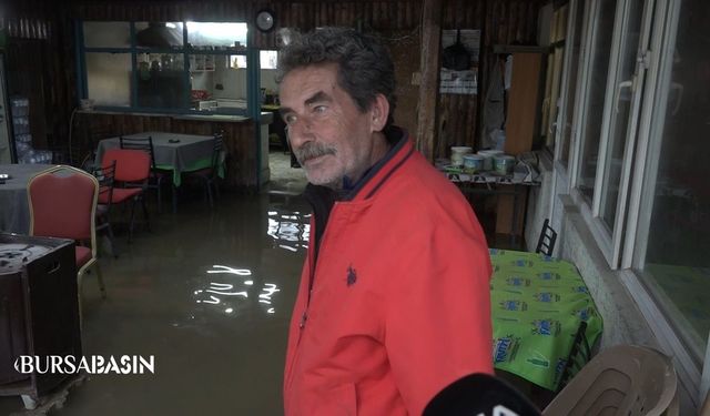 Bursa’da Kahvehane Göle Döndü! “Balık Yetiştireceğiz”