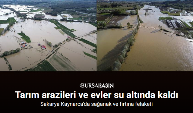 Sakarya’da Tarım Arazileri Sular Altında Kaldı