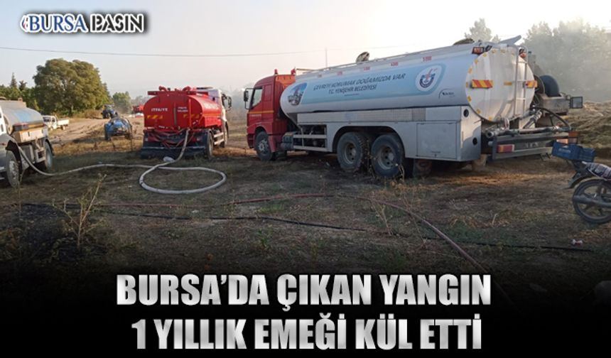 Bursa'da Bir Köyde Çıkan Yangın 6 Bin Saman Balyasını Küle Çevirdi