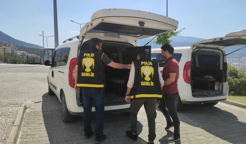 Bursa'da Uyuşturucu Operasyonu 1 Kişi Yakalandı