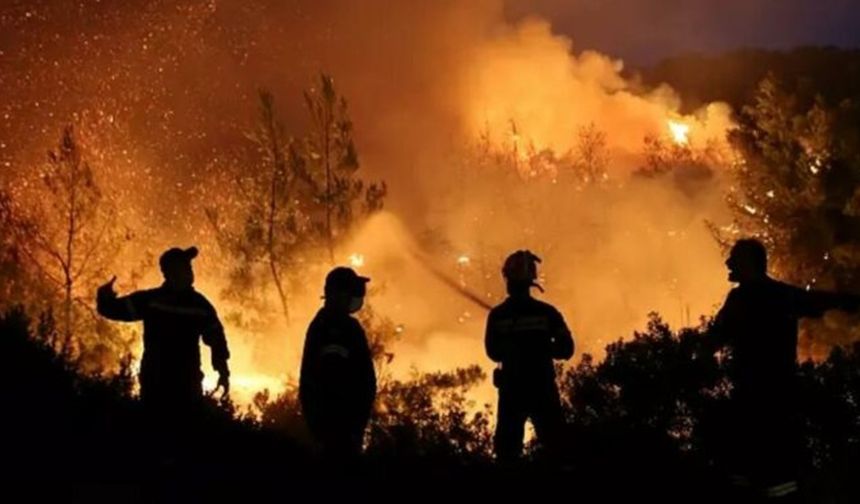 Askerler patlayıcı madde imha ederken orman yangını çıktı