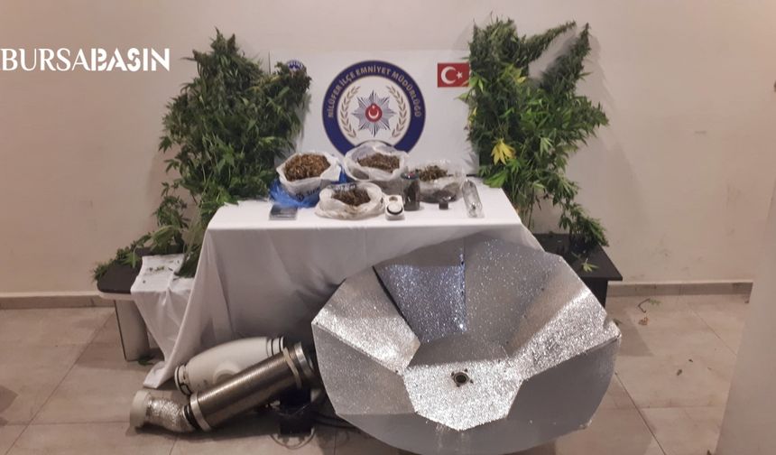 Bursa'da evinde Hint keneviri yetiştiren zanlı tutuklandı
