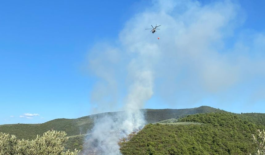 Bursa'da Çıkan Orman Yangını Kontrol Altına Alındı