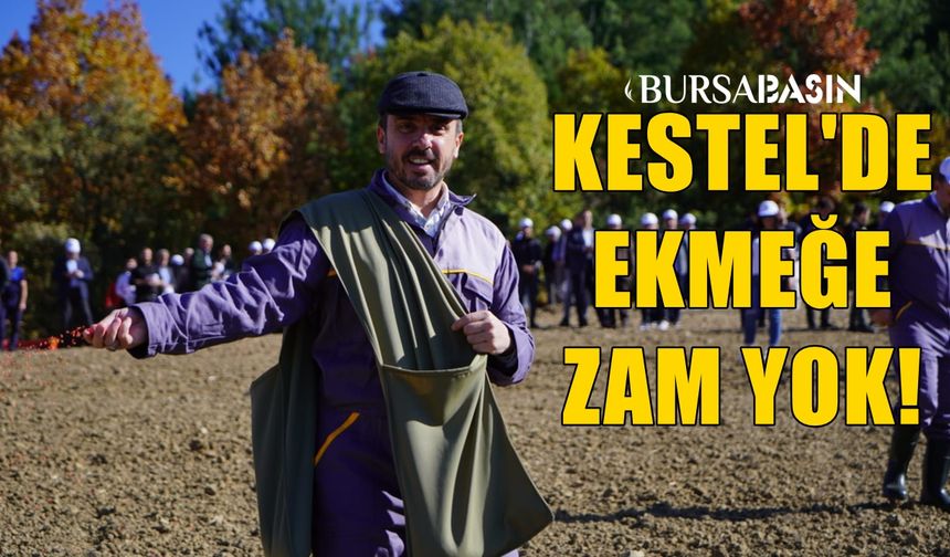 Kestel Belediyesi Türkiye’nin en ucuz ekmeği için kendi buğdayını ekti 