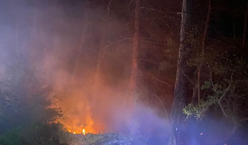 Orhaneli'de yıldırım düşmesi sonucu çıkan orman yangını söndürüldü