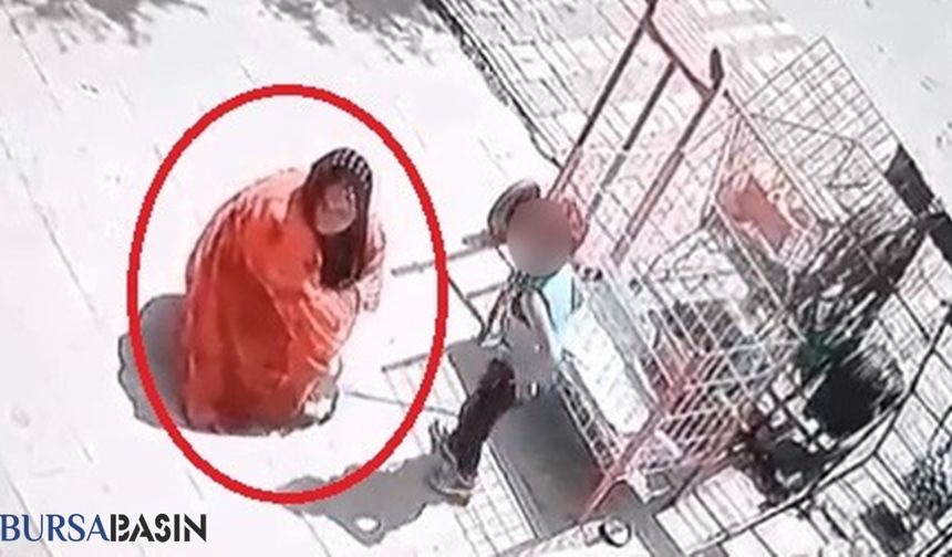 Bursa'da Bir Kadın, Dükkanın Önünde Bağlı Köpeği Çaldı