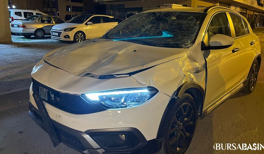 Bursa'da Araç Sürücüsü At Kazasıyla Savruldu