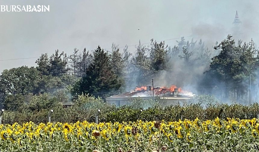 Yolçatı’nda Yangın, Uludağ Üniversitesi Tesisi Çatısına Sıçradı