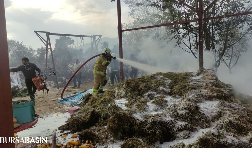 Orhangazi’de Saman Yığını Alev Aldı