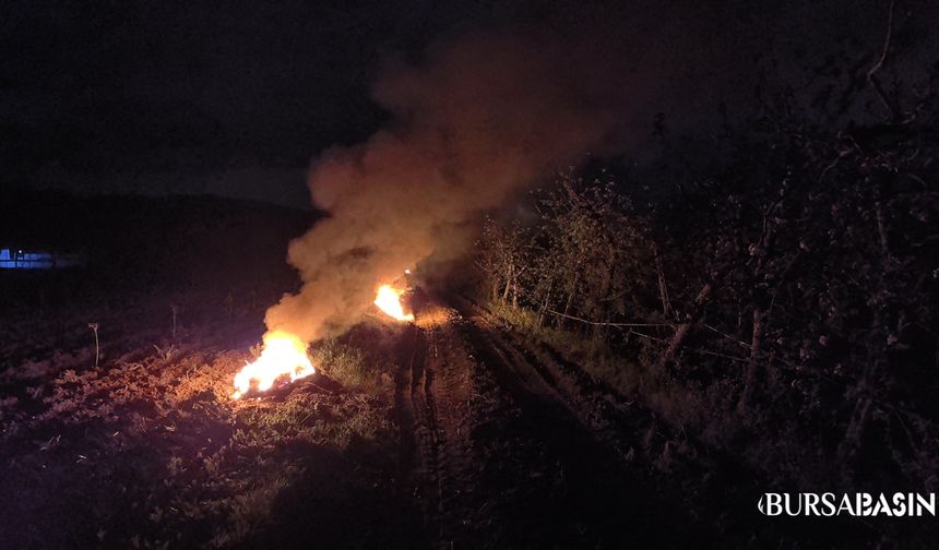 İnegöl’de Don Zararı: Çiftçiler Ateş Yakarak Ağaçları Koruyor