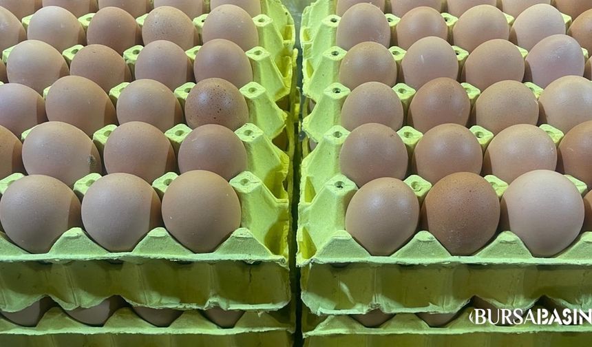 Uygun Fiyatlı Yumurta BUÜ Mağazalarında