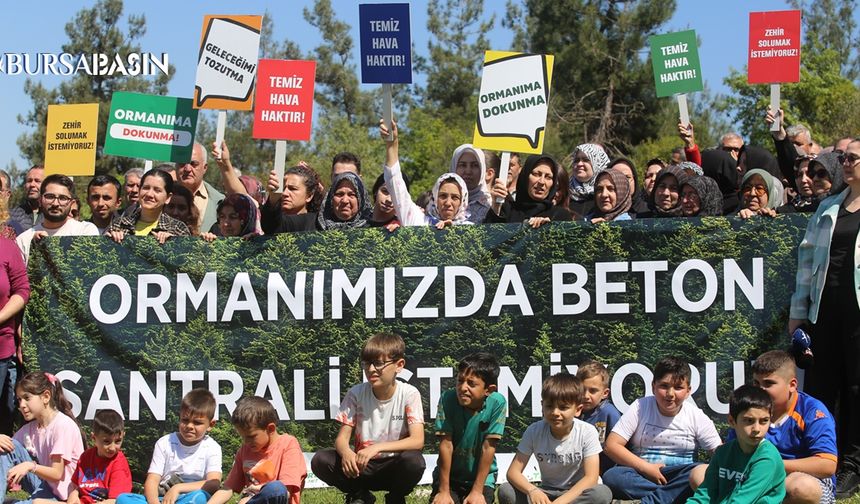 Tahtalı’da beton santraline karşı doğa nöbeti