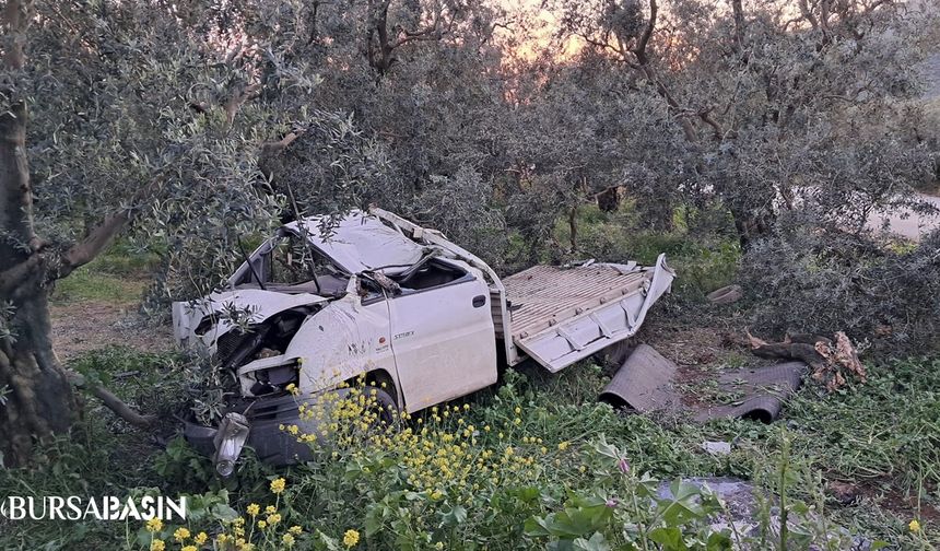 İznik’te kamyonet tarlaya daldı: Sürücü yaralandı