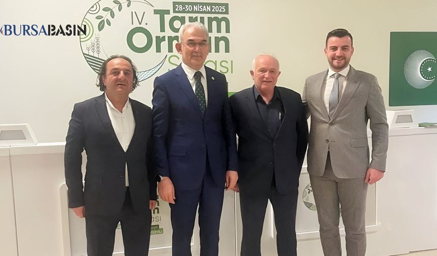 Ahşap Palet ve Ambalaj Sektörü Stratejik Sektör Oldu