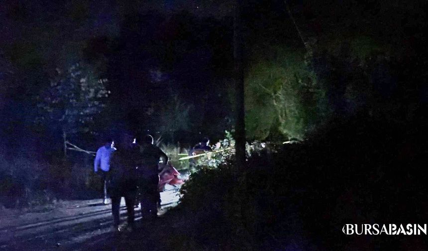 İznik Gölü Yolunda Boğazı Kesilmiş Ceset Bulundu