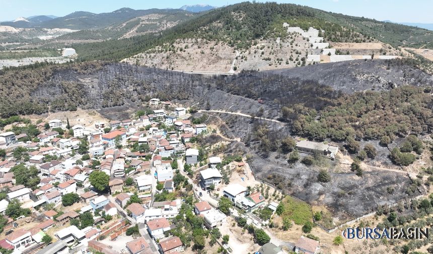 Bursa’daki Orman Yangınlarında 65 Hektar Kül Oldu