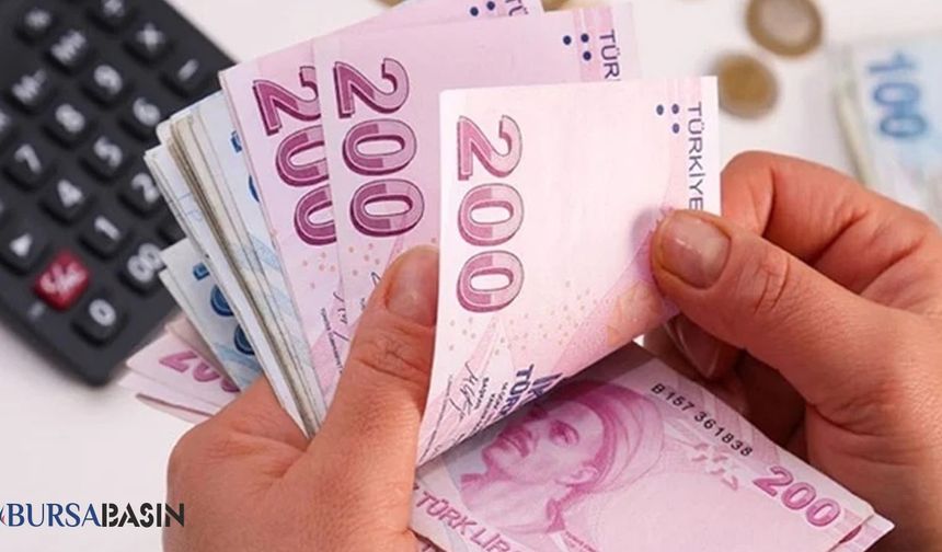 Engelli ve Eski Hükümlülere Hibe Desteği