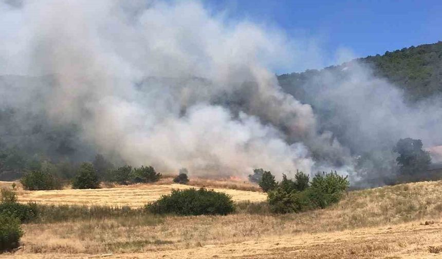 Yenişehir’de Tarlada Başlayan Yangın Ormana Sıçradı