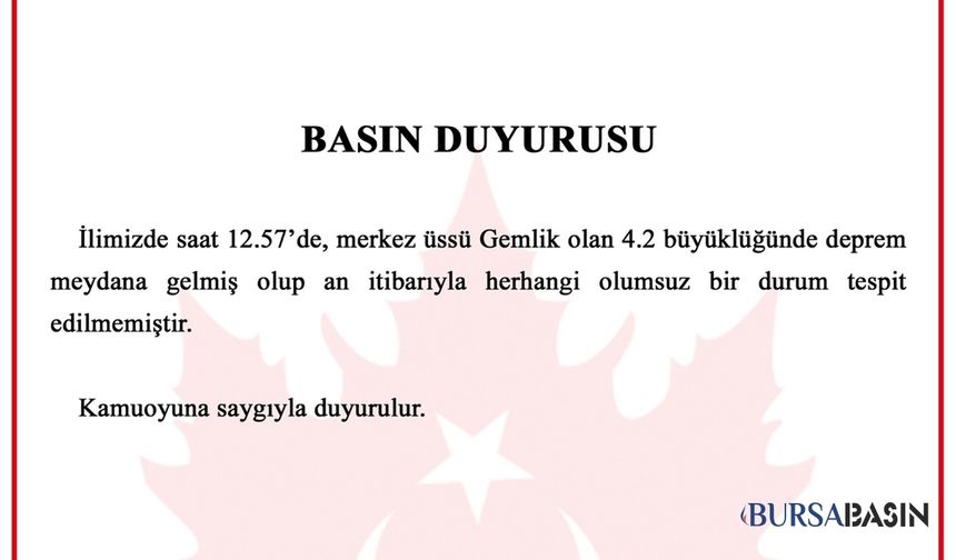 Gemlik’te 4.2’lik Deprem! Valilikten İlk Açıklama Geldi