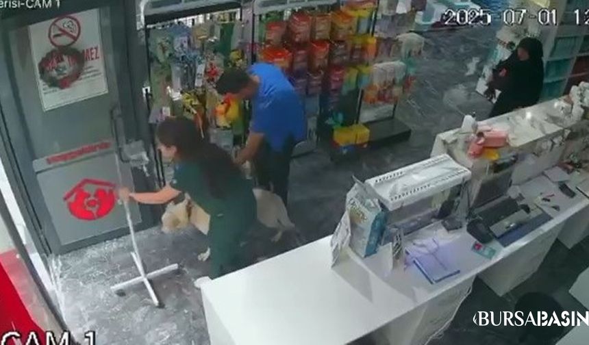 Bursa’daki Depremde Köpeği Kurtaran Çalışan Takdir Topladı
