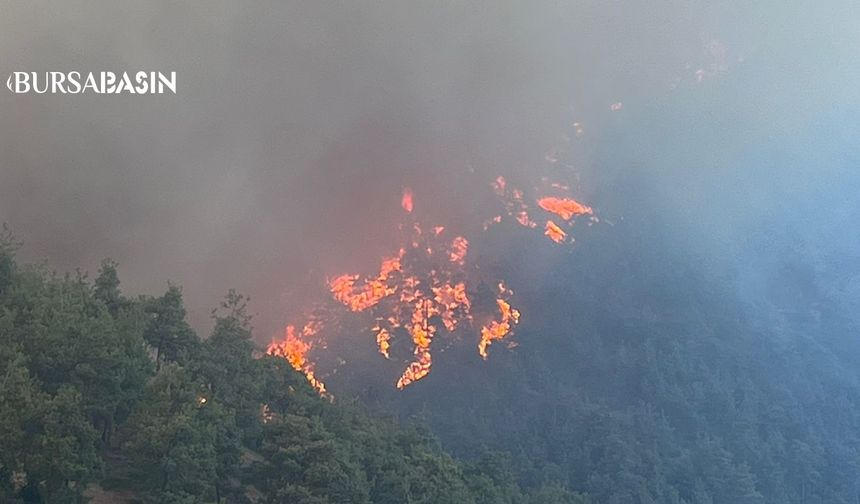 Bursa’da İki İlçede Orman Yangını