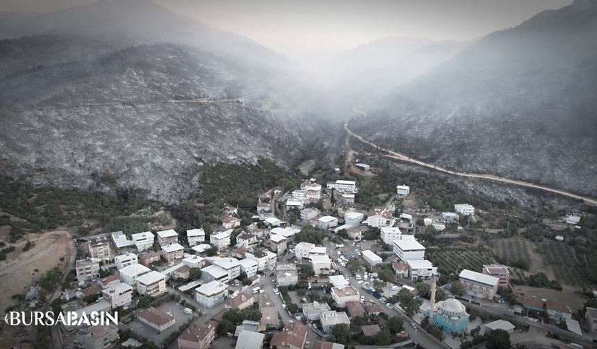 Bursa’daki yangının bilançosu gün ağarınca netleşti