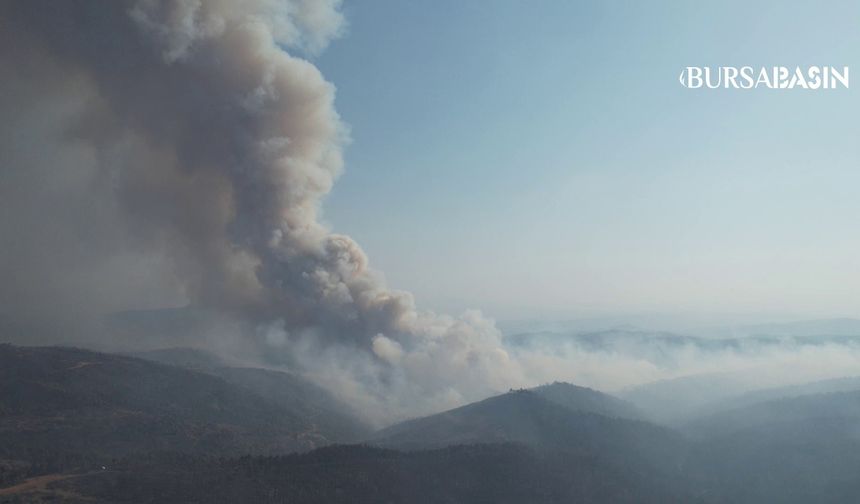Harmancık'ta Orman Yangını Yeniden Alevlendi