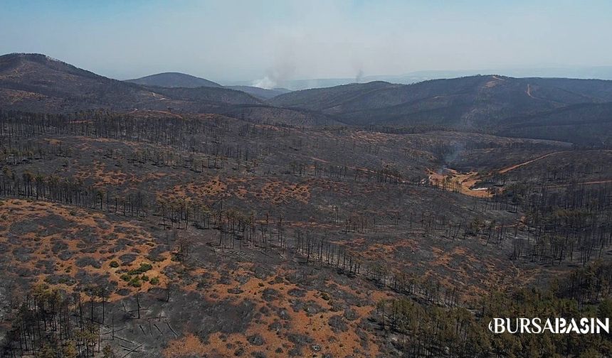 Harmancık yangınında 4. gün: Dron görüntüsü yürek burktu