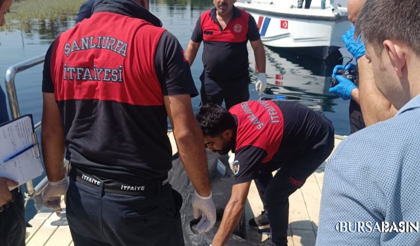 Fırat Nehri’nde Sürüklenen Erkek Cesedi Bulundu