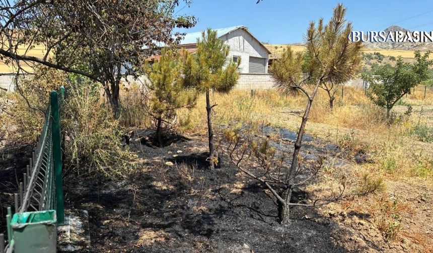 Yozgat’ta Kopan Elektrik Kablosu Tarlayı Küle Çevirdi