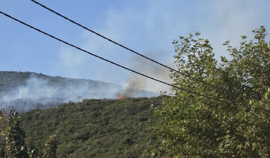 Orhangazi Gedelek’teki Orman Yangını Kontrol Altında