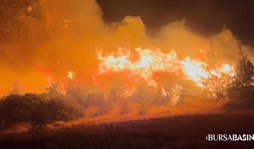 Bursa Karacabey’de Orman Yangını: Köyler Tahliye Edildi