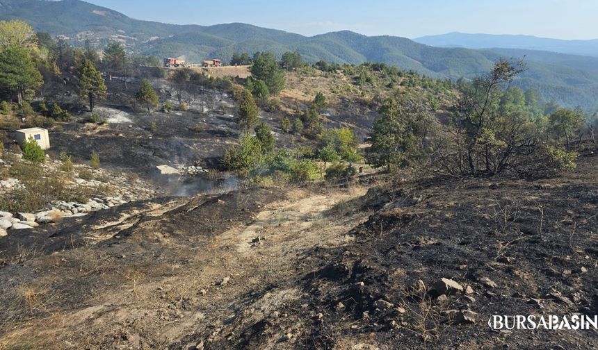 Orhaneli’de mangaldan çıkan yangın korkuttu