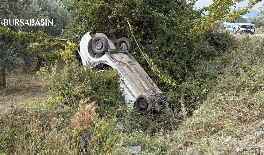 İznik’te Otomobil Zeytinliğe Uçtu: Sürücü Yaralı
