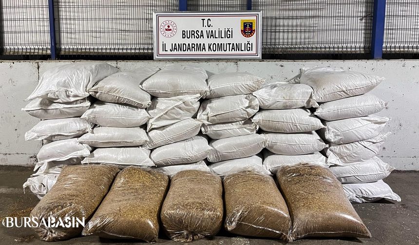 Bursa’da Jandarmadan Kaçak Sigara  Operasyonu