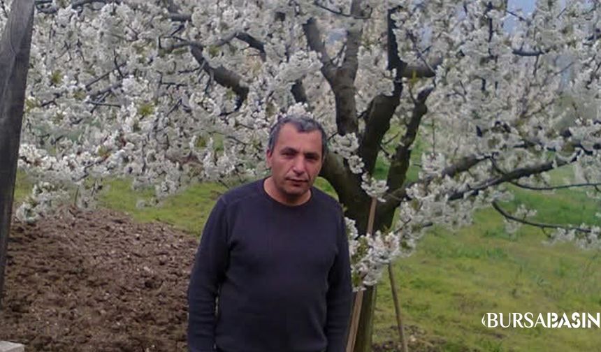 Keles’te Ağaçtan Düşen Adam Hayatını Kaybetti