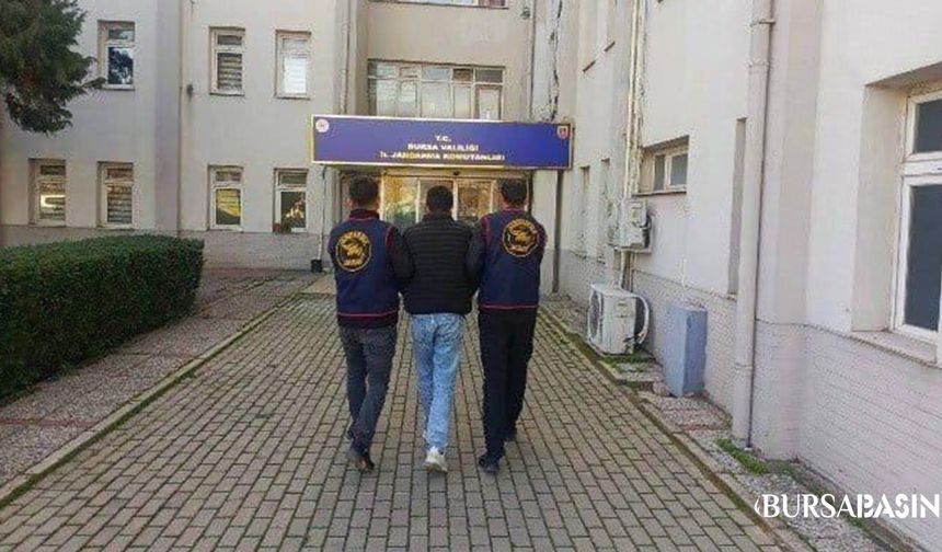 Bursa’da Tiny House Hırsızlığı Şaşkına Çevirdi