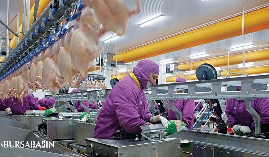 Beyaz et üretimi 2025’te 2,7 milyon tona çıkacak