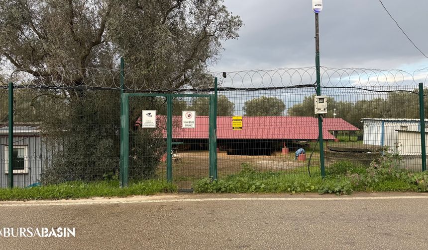 Çoban İsa Figürünün Bulunduğu Lahit Tarlası Koruma Altında