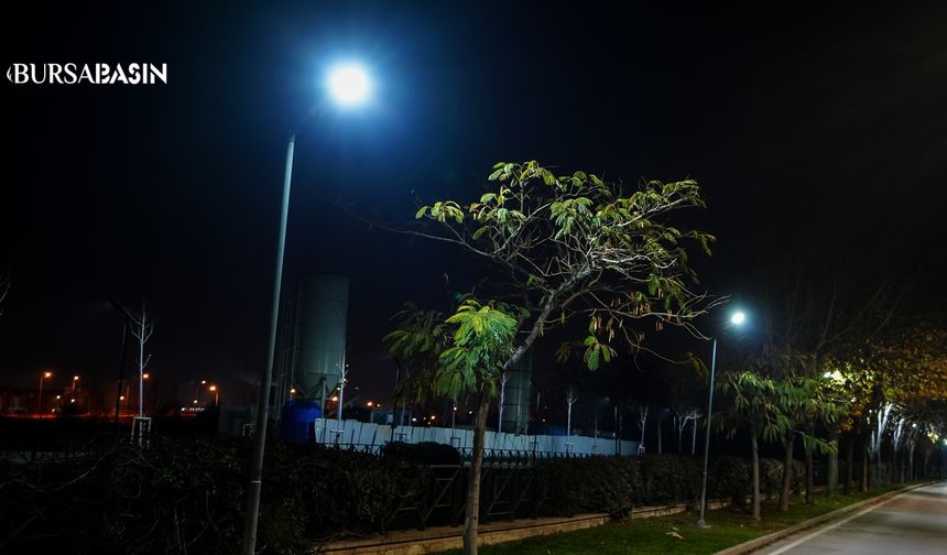 UEDAŞ’tan Şehir Aydınlatmasında LED Dönüşüm Atağı