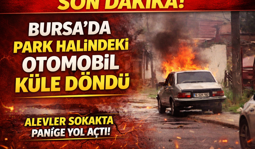 Bursa’da park halindeki otomobil küle döndü