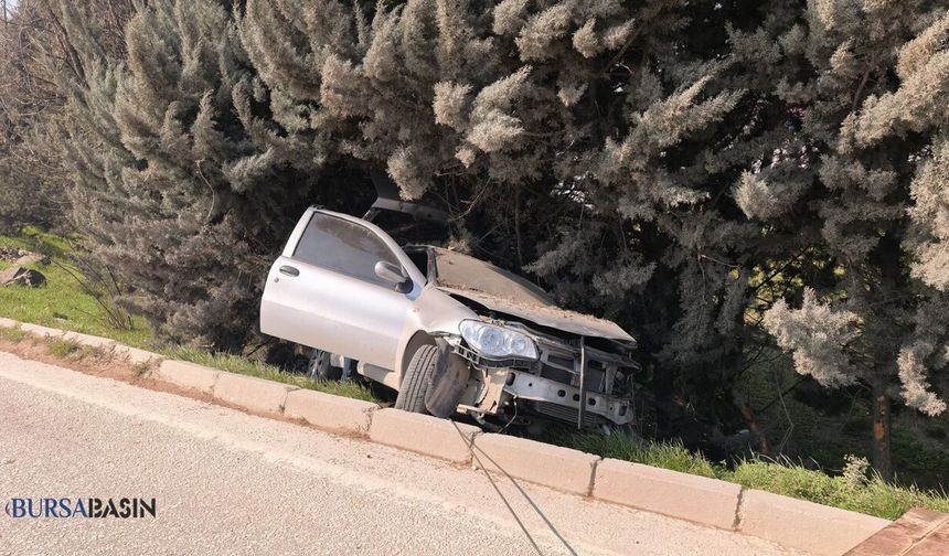 İnegöl’de Kontrolden Çıkan Araç Ağaçlık Alana Düştü