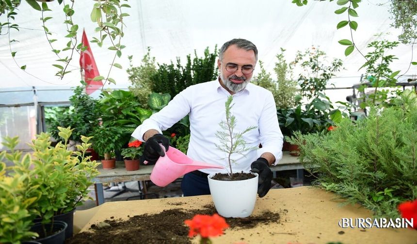 Kestel Süs Bitkilerinde Üreticiye Destek Oluyor