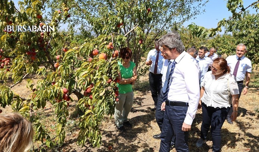 BUÜ’den Dünya Sıralamasında Önemli Başarı