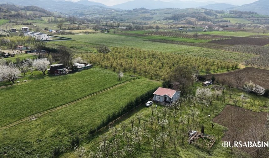 Bursa’da Baharın Kartpostallık Manzaraları