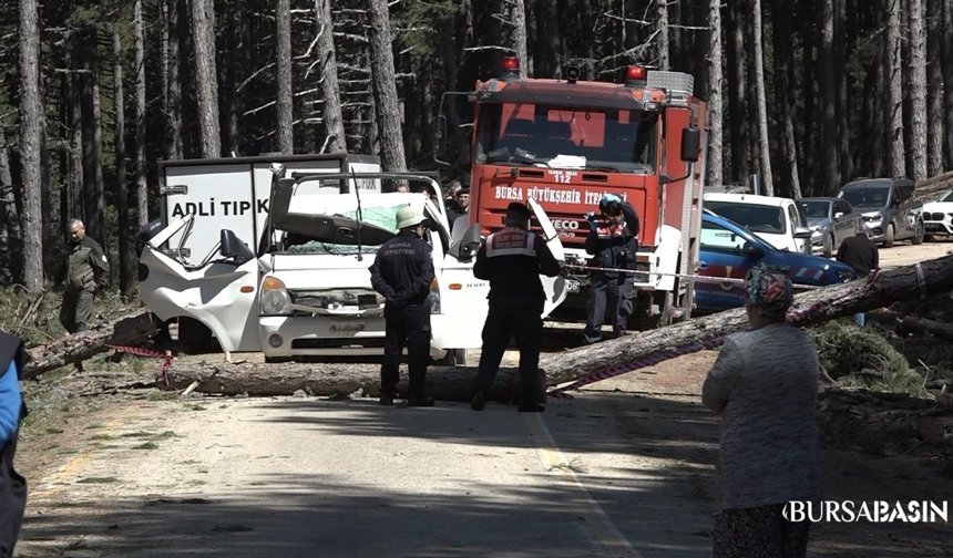 Uludağ’da Kamyonetin Üzerine Ağaç Düştü