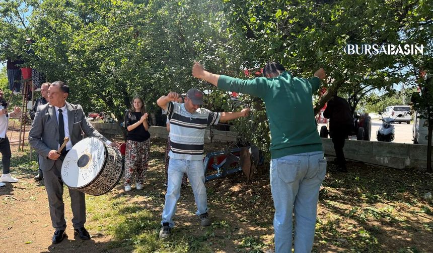 İznik’te Erik Bereketi Davul Zurnayla Kutlandı